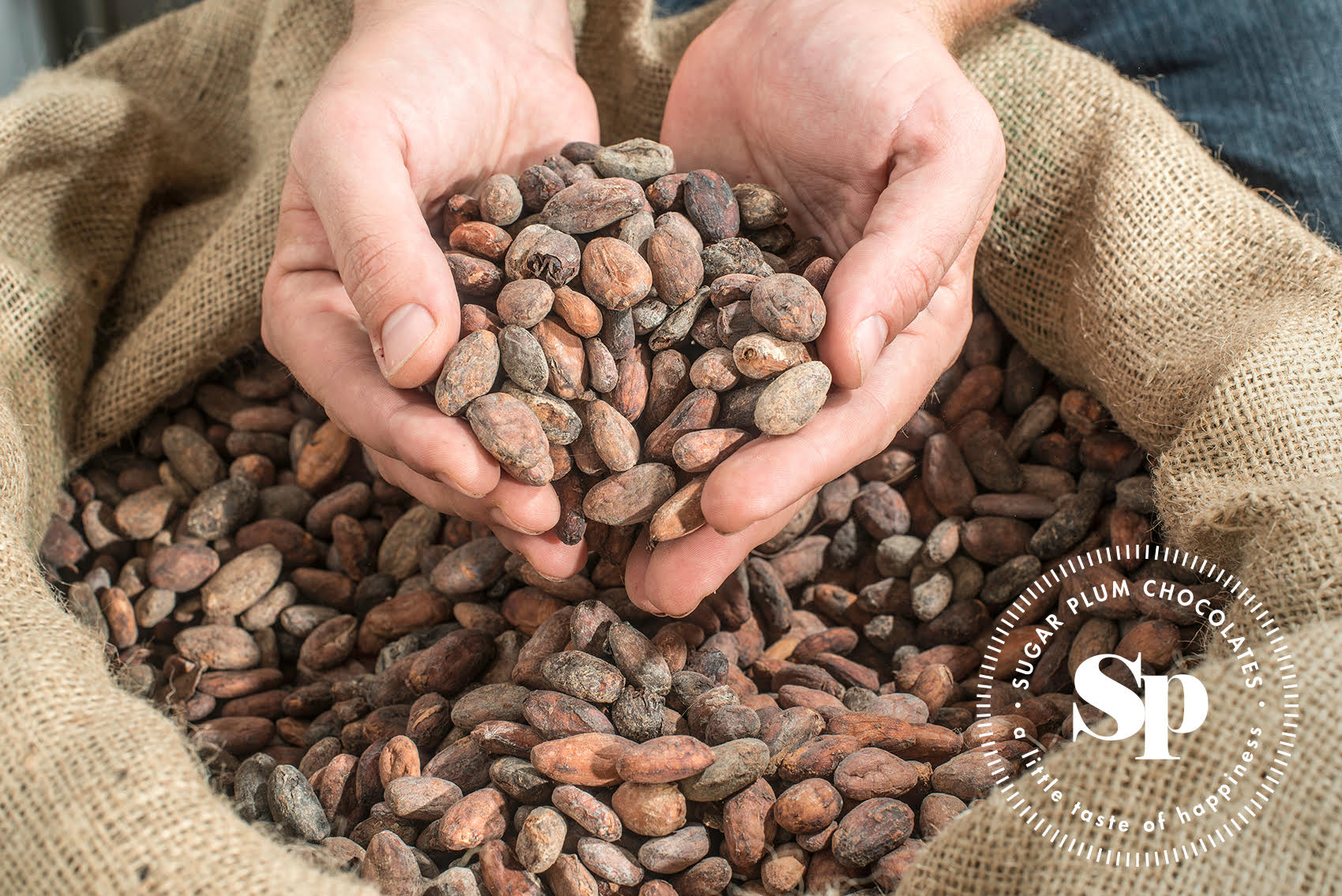 History of Chocolate