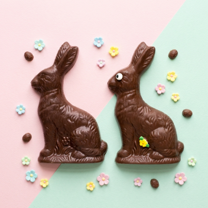 Milk Chocolate Easter Bunny Spring Flower Eye Front and Back