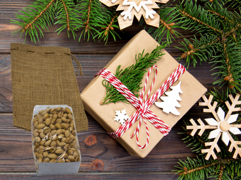 Salted Pistachios In Shells in Burlap Bag Holiday Gift