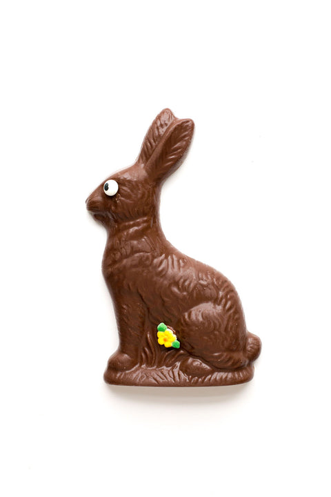 Milk Chocolate Half-Pound Premium Chocolate Easter Bunny with clear background.
