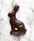 Easter Bunny chocolate brown with a small accent flower in his body.  The image has a white marble background.