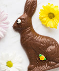 Chocolate bunny with a flower background. 