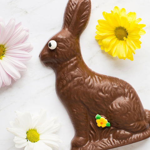Chocolate bunny with a flower background. 
